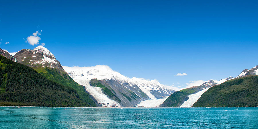 Glacier Bay