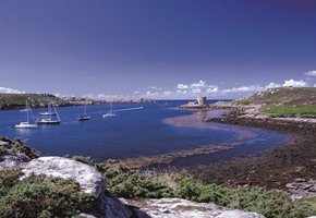 Tresco Abbey Gardens